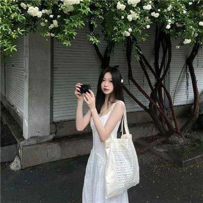 蚂蚁的梦想